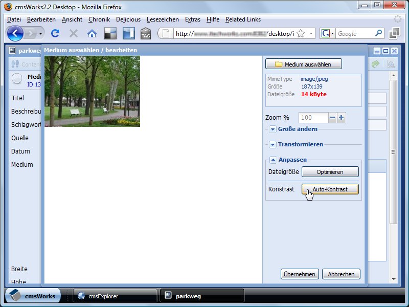 Das Image Tool bietet auch automatische Funktionen um die Dateigröße zu reduzieren und den Kontrast zu optimieren.