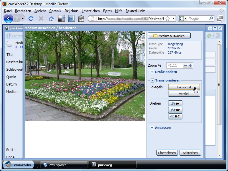 In unserem Beispiel wird ein großes Bild von einem Park hochgeladen. Dieses wird zunächst gespiegelt ...
