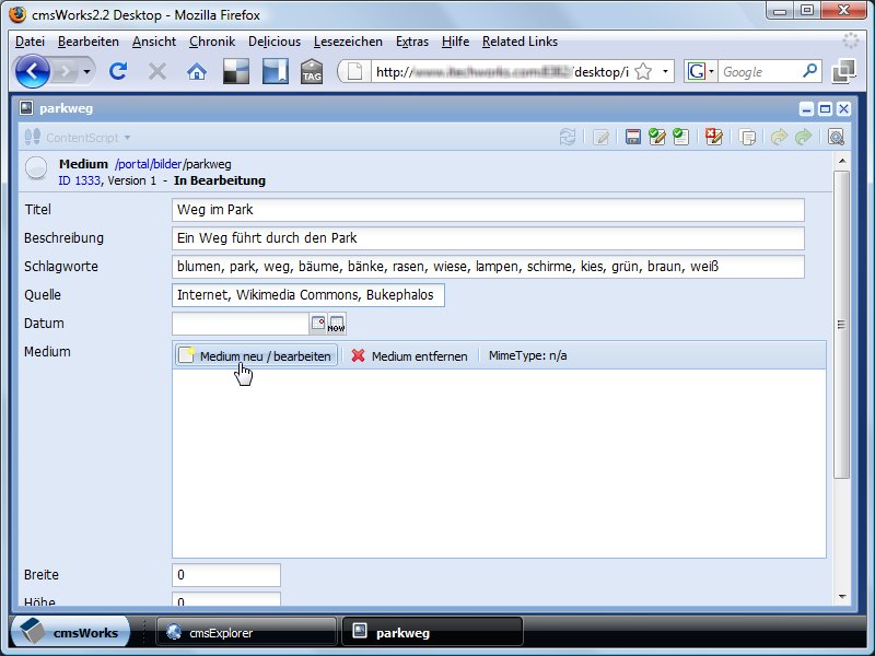 Then you enter the meta data for the image. By clicking on 