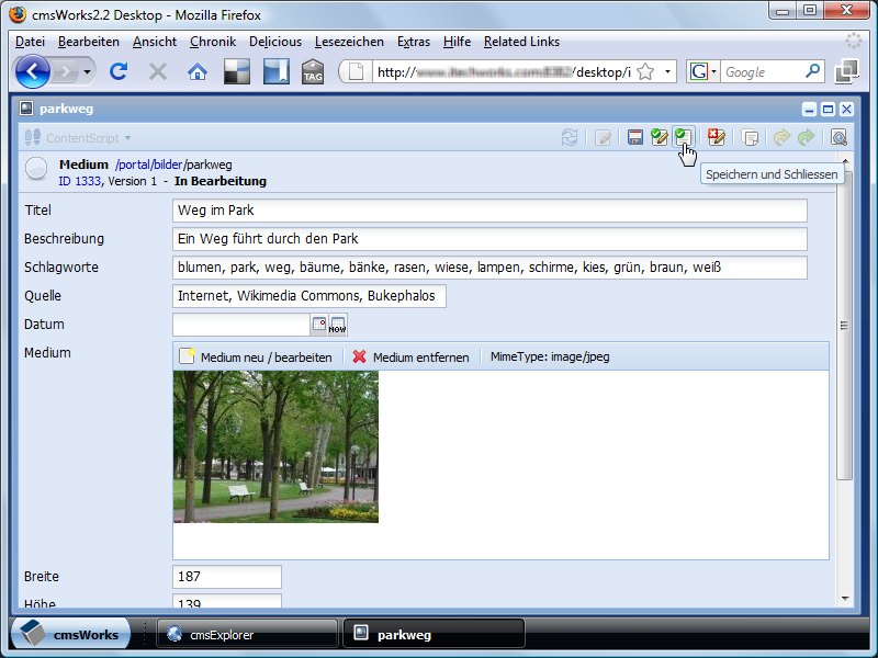 The medium document now contains the finished image. Different formats and dimensions of an original image can be linked so that cmsWorks is able to automatically select from a range of prepared images.