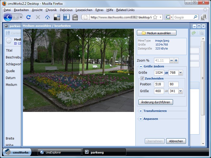 The next step is to select and crop a detail of the picture. This can be done by mouse or by entering numbers.