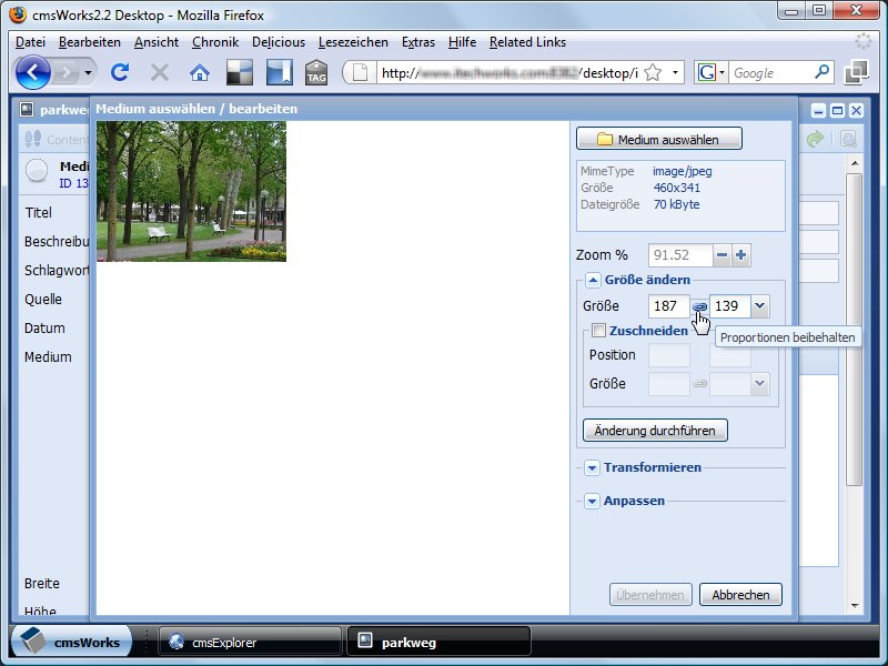 In this case we need an image width of 187 pixel. One can directly enter the value. The aspect ratio will be retained, if needed.